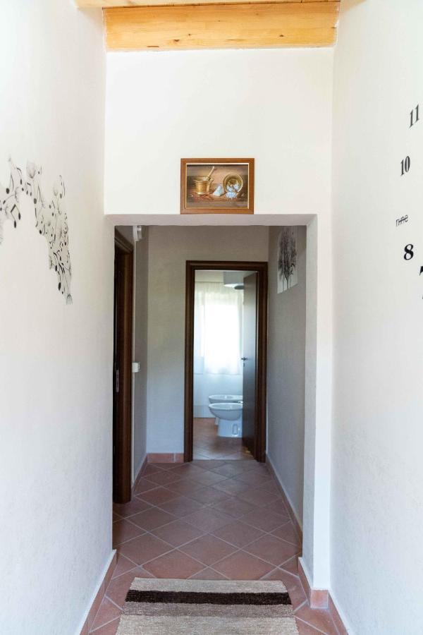 B&B Aria Antica Verbicaro Bagian luar foto